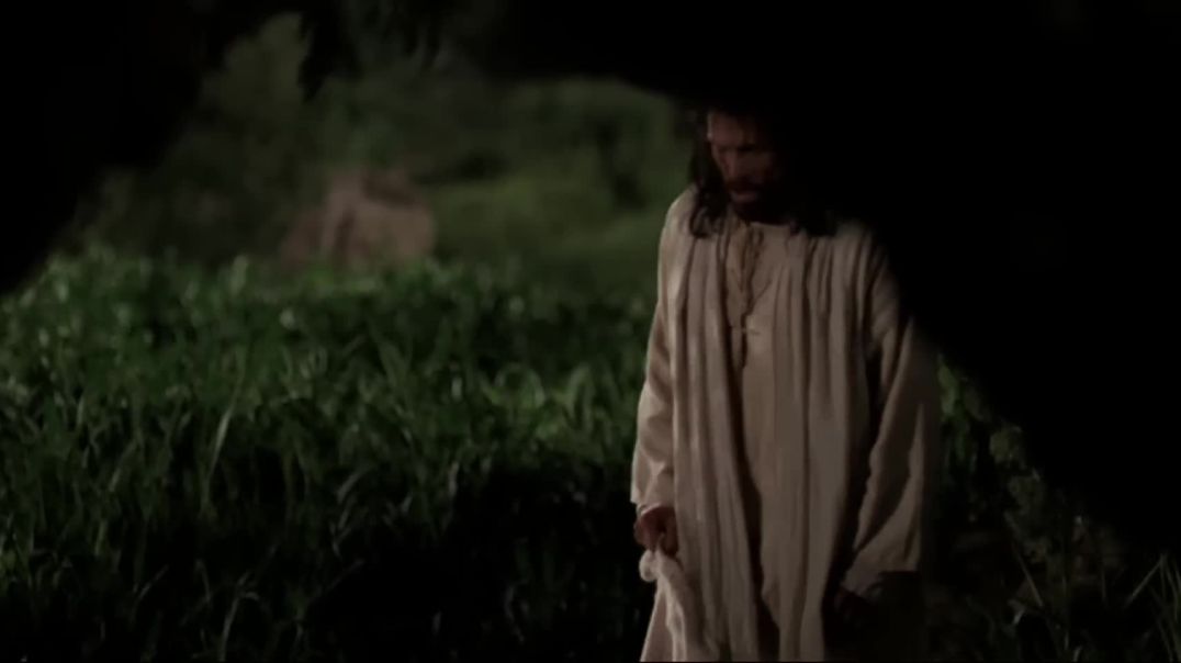 O Salvador Sofre no Getsêmani